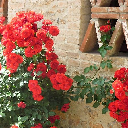 Fattoria Agriturismo Nerbona Casole dʼElsa Kültér fotó