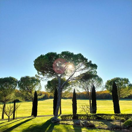 Fattoria Agriturismo Nerbona Casole dʼElsa Kültér fotó