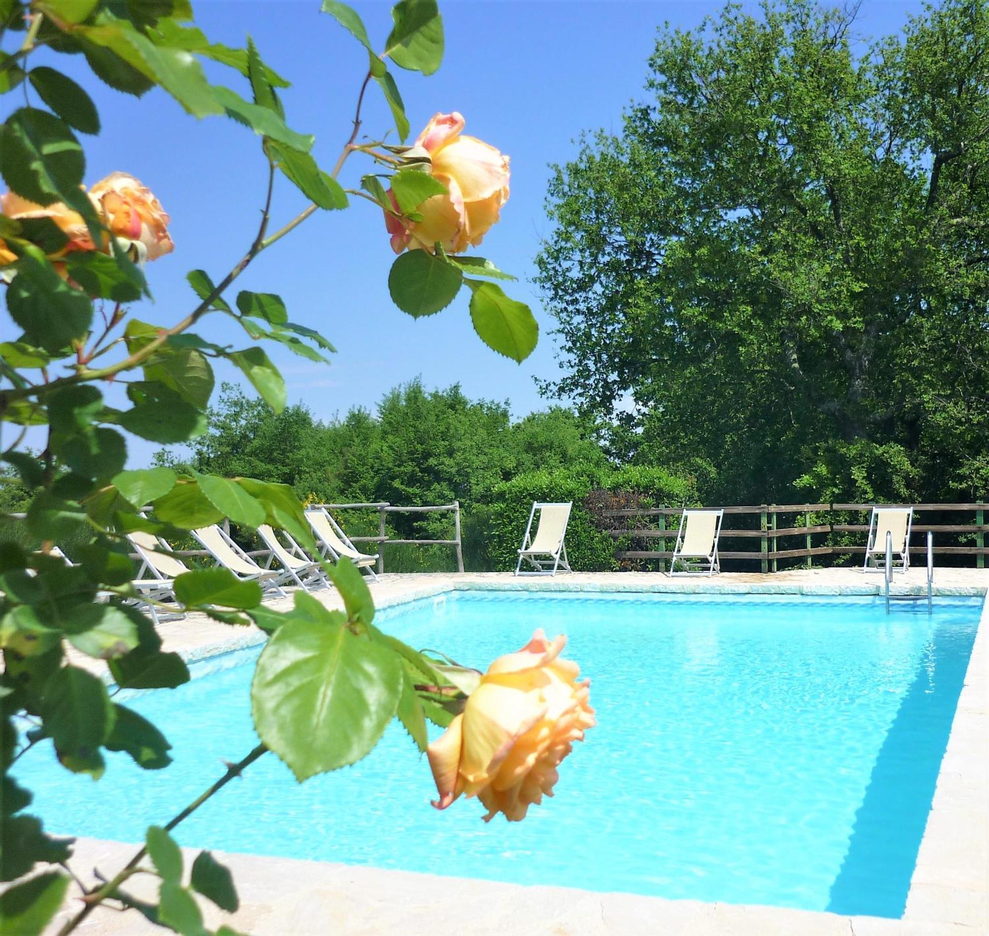 Fattoria Agriturismo Nerbona Villa Casole dʼElsa Kültér fotó