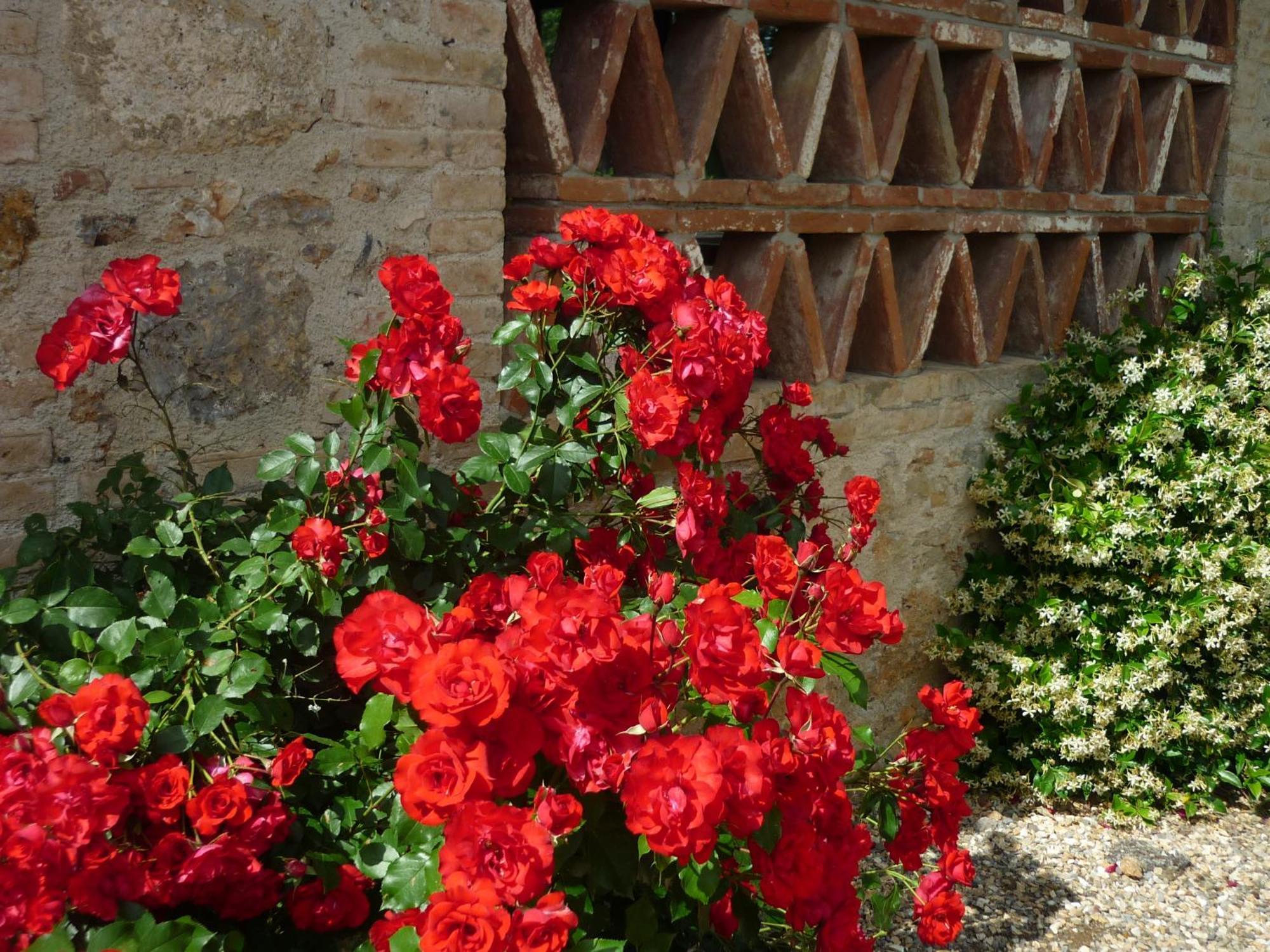 Fattoria Agriturismo Nerbona Casole dʼElsa Kültér fotó