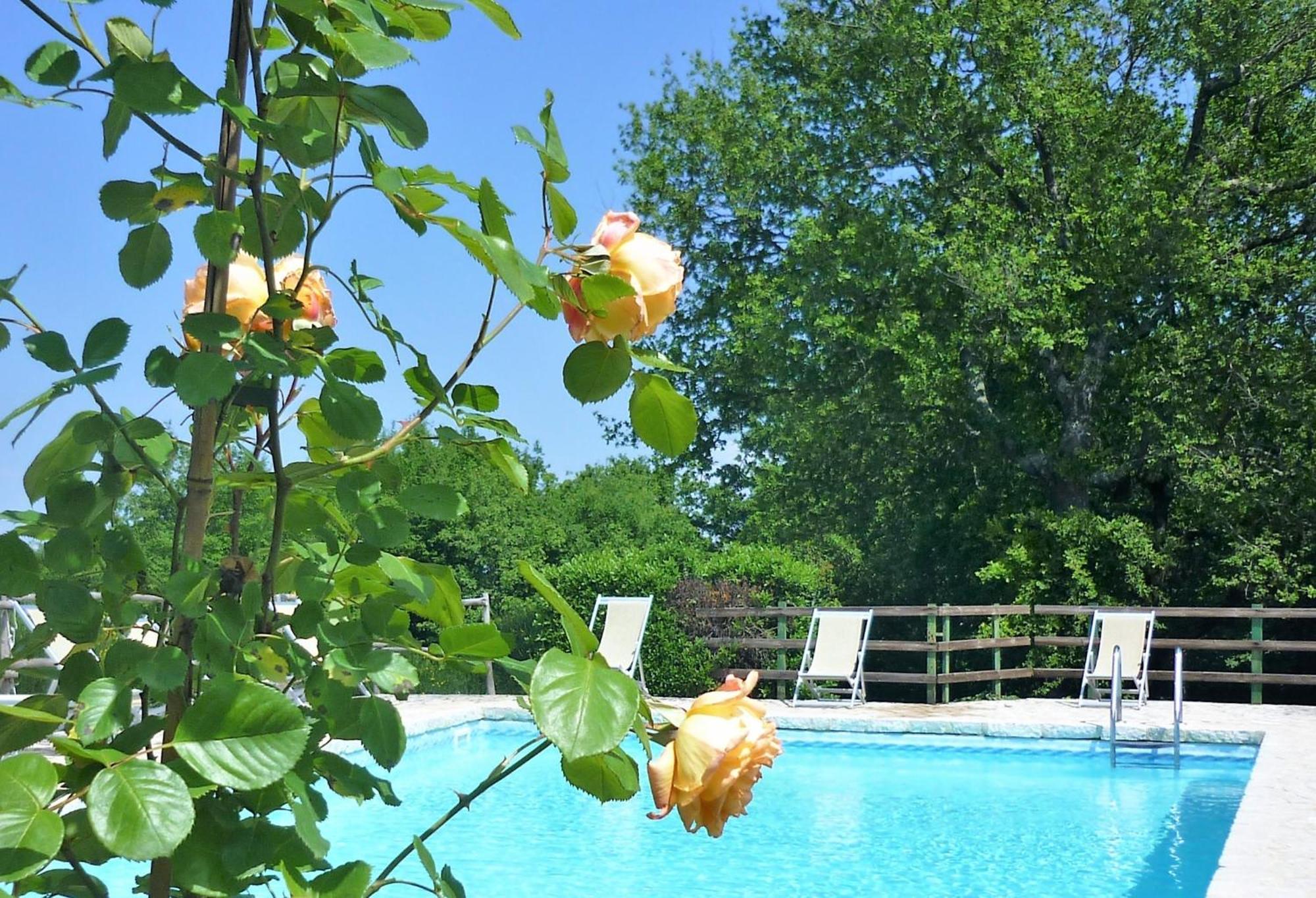 Fattoria Agriturismo Nerbona Casole dʼElsa Kültér fotó