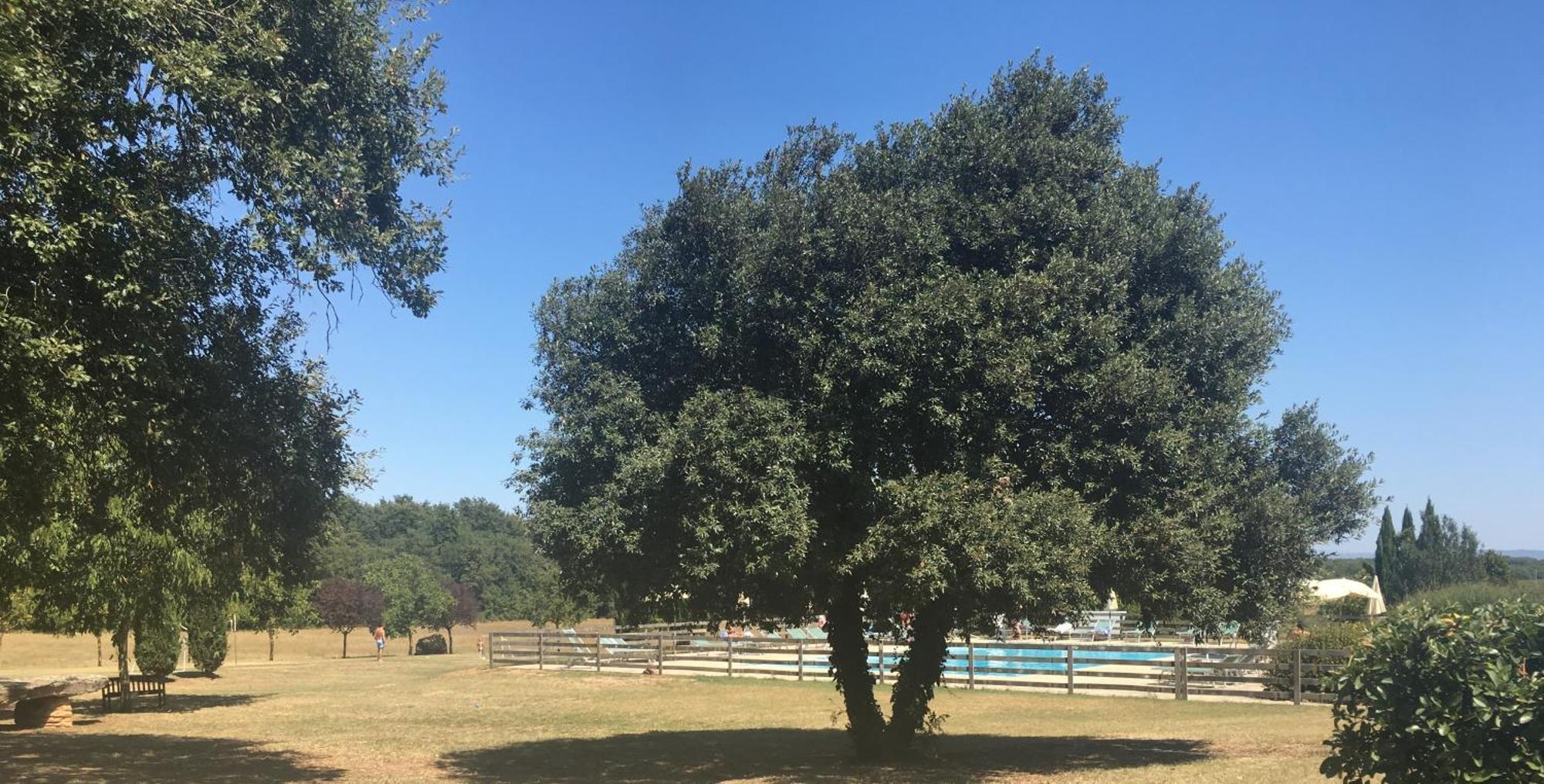 Fattoria Agriturismo Nerbona Casole dʼElsa Kültér fotó