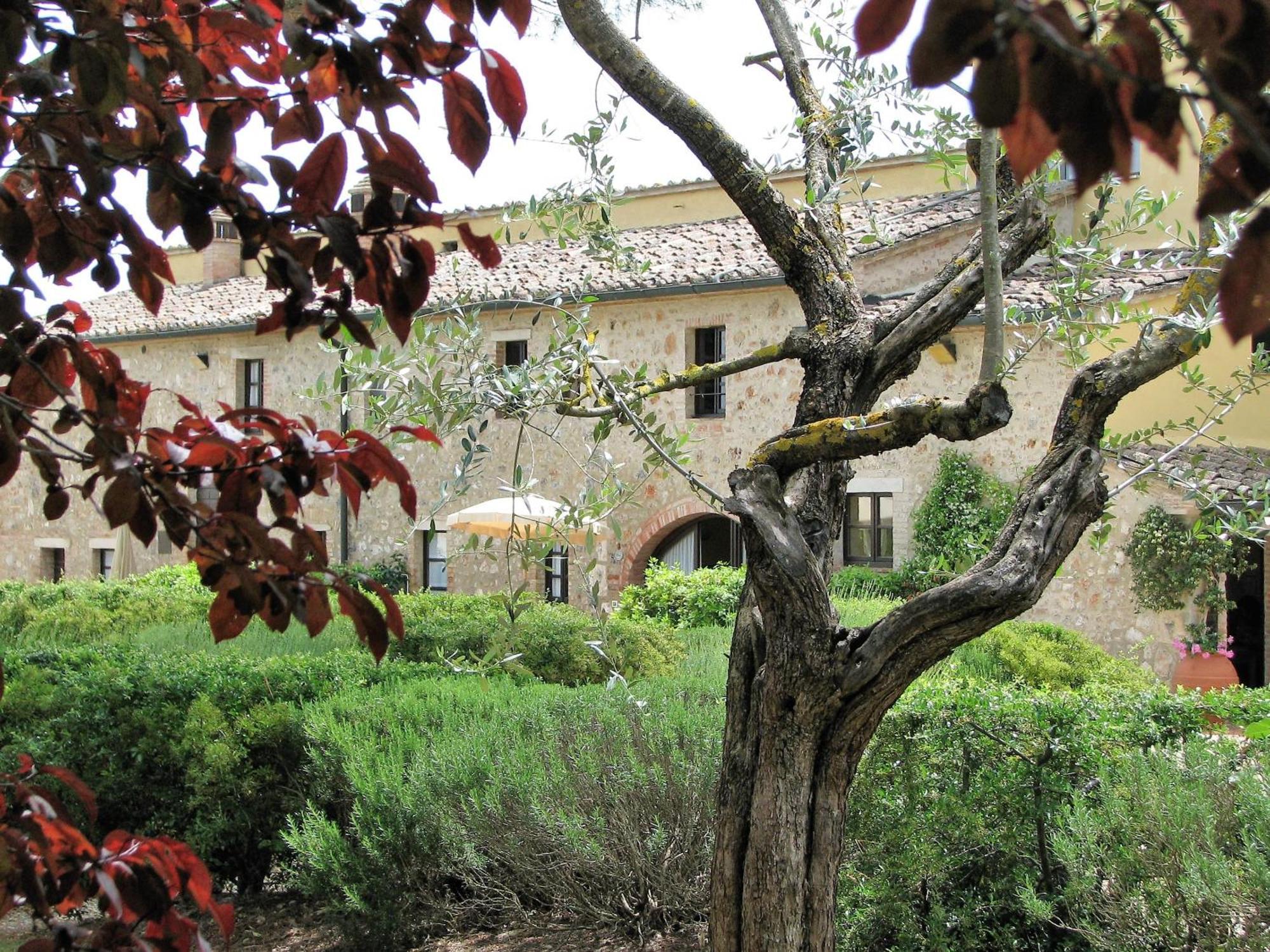Fattoria Agriturismo Nerbona Casole dʼElsa Kültér fotó