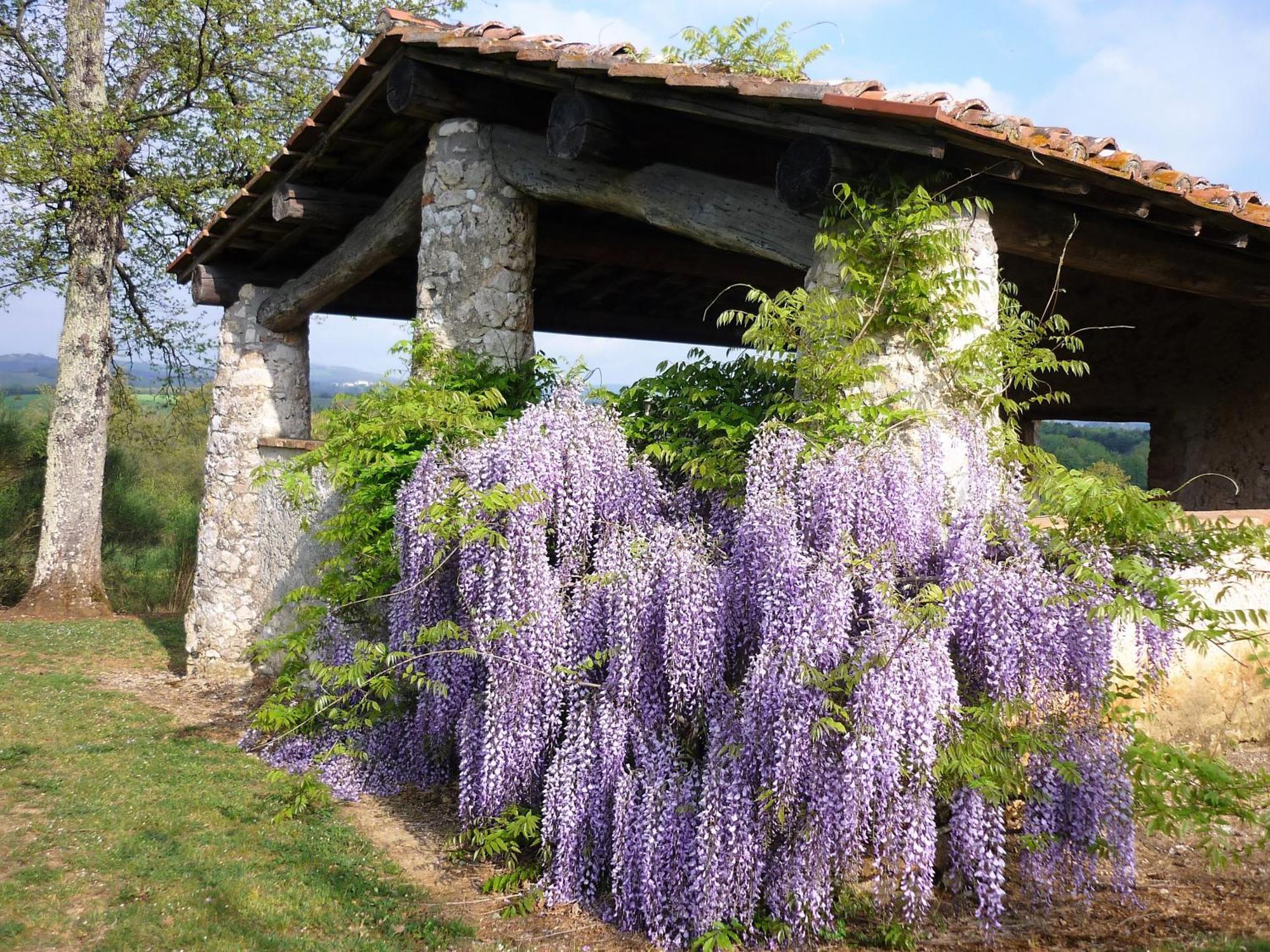 Fattoria Agriturismo Nerbona Casole dʼElsa Kültér fotó